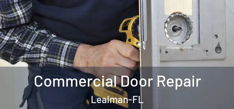  Commercial Door Repair Lealman-FL