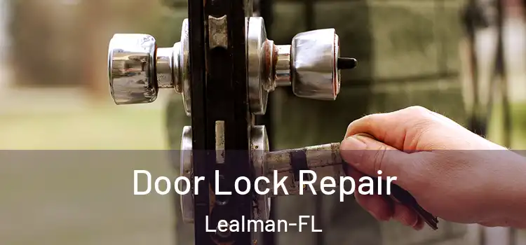  Door Lock Repair Lealman-FL