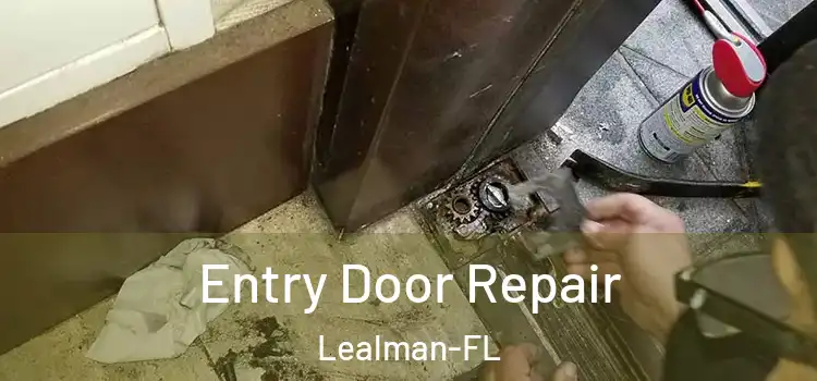  Entry Door Repair Lealman-FL