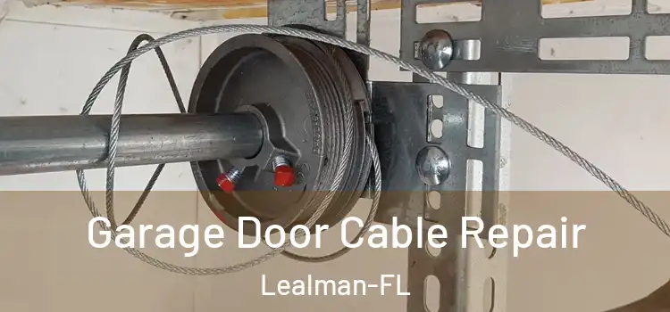  Garage Door Cable Repair Lealman-FL
