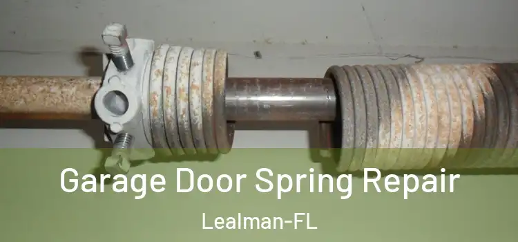  Garage Door Spring Repair Lealman-FL