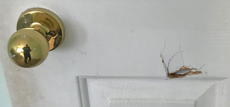 interior door hole repair Lealman