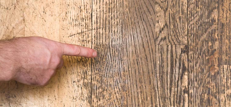 Wood Door Scratch Repair in Lealman