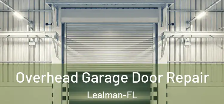  Overhead Garage Door Repair Lealman-FL