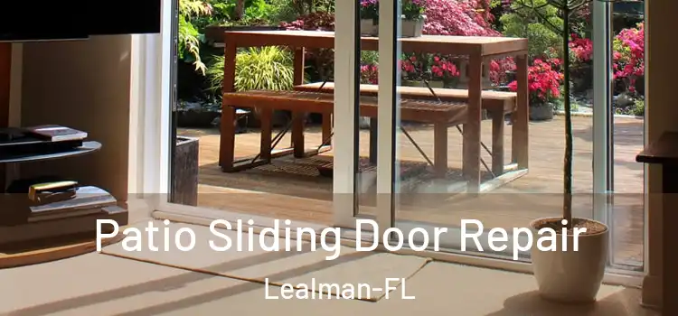  Patio Sliding Door Repair Lealman-FL