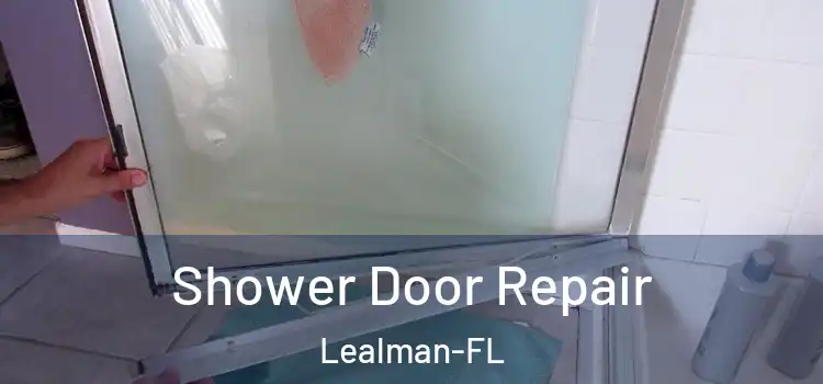  Shower Door Repair Lealman-FL